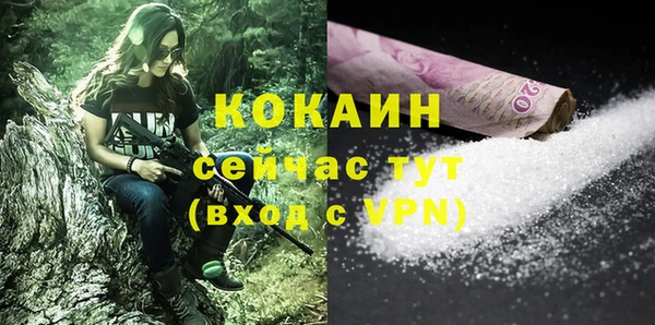 a pvp Горняк