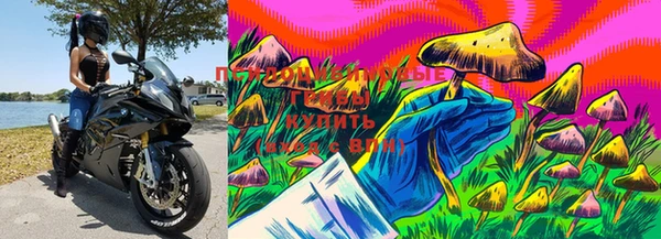 марки lsd Горно-Алтайск