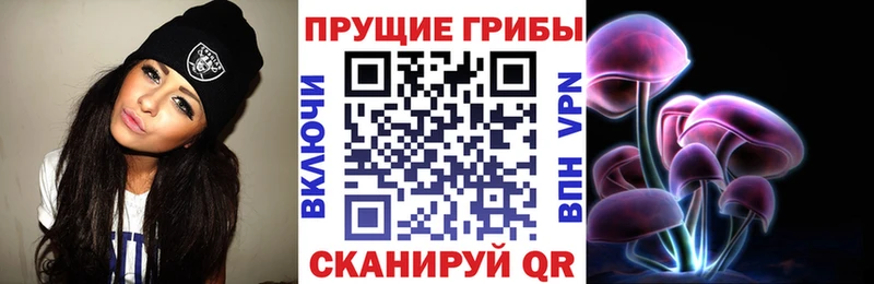 купить закладку  Далматово  Псилоцибиновые грибы мухоморы 